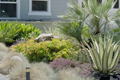 1052 McBain Ave, Campbell, CA 95008 - Photo 10