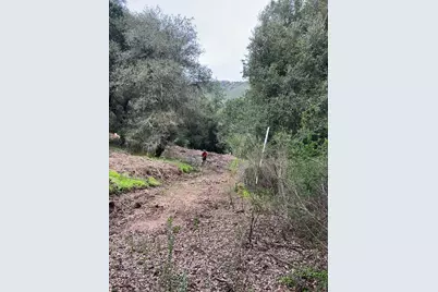 18445 Black Rd, Los Gatos, CA 95033 - Photo 6