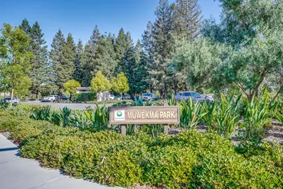 589 San Remi Ter 55, Sunnyvale, CA 94085 - Photo 48