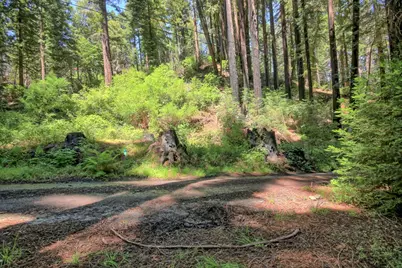 154 Leafwood Dr, Boulder Creek, CA 95006 - Photo 8