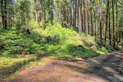 154 Leafwood Dr, Boulder Creek, CA 95006 - Photo 6
