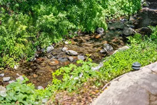 9984 Love Creek Rd, Ben Lomond, CA 95005 - Photo 52