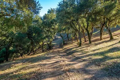 17114 Cachagua Rd, Carmel Valley, CA 93924 - Photo 28