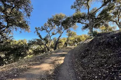 17114 Cachagua Rd, Carmel Valley, CA 93924 - Photo 8
