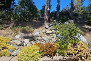 603 Carpenteria Rd, Aromas, CA 95004 - Photo 10