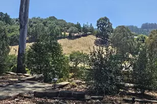 603 Carpenteria Rd, Aromas, CA 95004 - Photo 12