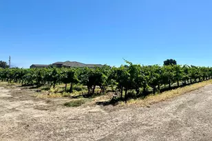 19025 N Devries Rd, Lodi, CA 95242 - Photo 8