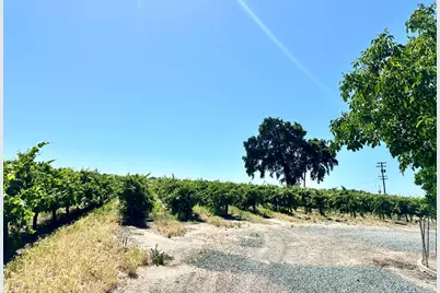 19025 N Devries Rd, Lodi, CA 95242 - Photo 10