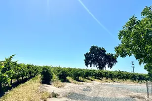 19025 N Devries Rd, Lodi, CA 95242 - Photo 10