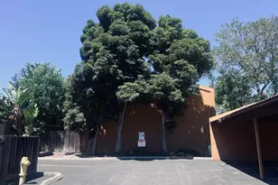 6145 Camino Verde Dr B, San Jose, CA 95119 - Photo 24