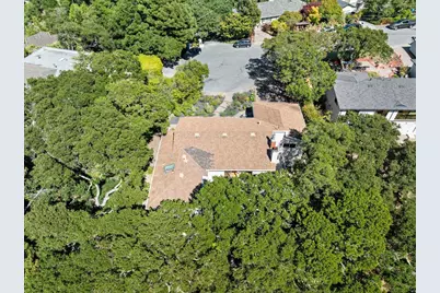 35 Tulip Ct, Burlingame, CA 94010 - Photo 48