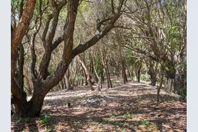 925 Old Farm Ln, Aptos, CA 95003 - Photo 34