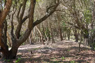925 Old Farm Ln, Aptos, CA 95003 - Photo 34