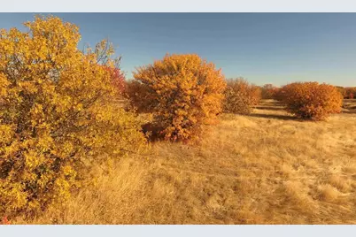27643 County Road 88, Winters, CA 95694 - Photo 18