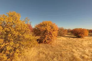 27643 Co Rd 88, Winters, CA 95694 - Photo 18