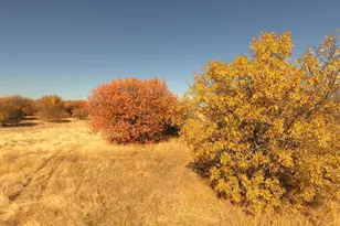 27643 Co Rd 88, Winters, CA 95694 - Photo 24