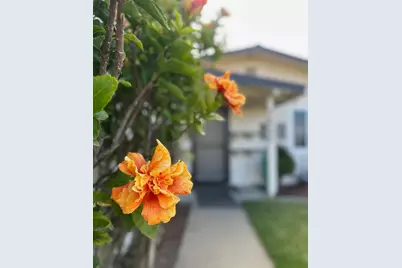 1640 Ukiah Way, Salinas, CA 93906 - Photo 6