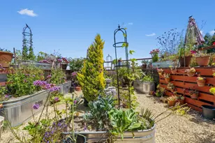 200 McAmant Dr, Santa Cruz, CA 95060 - Photo 84
