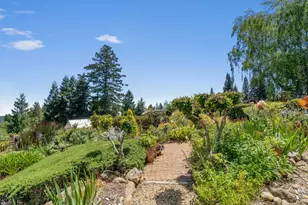 200 McAmant Dr, Santa Cruz, CA 95060 - Photo 74