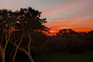 360 Babe Thompson, Watsonville, CA 95076 - Photo 72