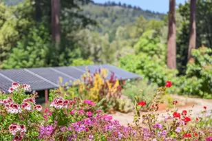 2030 Sparrow Valley Rd, Aptos, CA 95003 - Photo 46