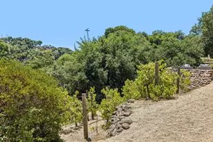 11270 Page Mill Rd, Los Altos Hills, CA 94022 - Photo 54