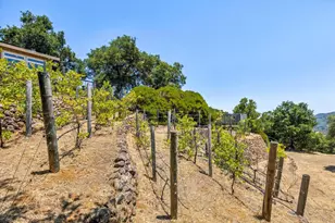 11270 Page Mill Rd, Los Altos Hills, CA 94022 - Photo 60