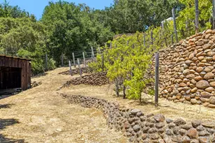11270 Page Mill Rd, Los Altos Hills, CA 94022 - Photo 58