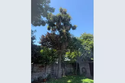 222 Oak St, Salinas, CA 93901 - Photo 12