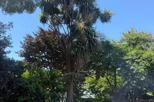 222 Oak St, Salinas, CA 93901 - Photo 12