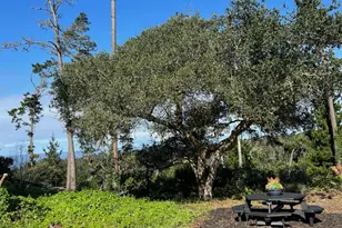 24312 San Juan Rd, Carmel, CA 93923 - Photo 32