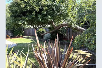4708 Borina Dr, San Jose, CA 95129 - Photo 10
