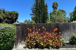 6706 San Anselmo Way, San Jose, CA 95119 - Photo 36