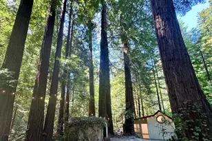 14251 Pescadero Creek Rd 4, La Honda, CA 94020 - Photo 24