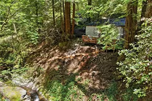 14251 Pescadero Creek Rd 4, La Honda, CA 94020 - Photo 12