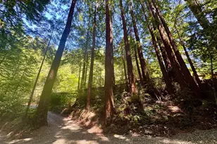 14251 Pescadero Creek Rd 4, La Honda, CA 94020 - Photo 36