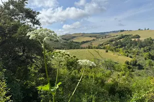 14251 Pescadero Creek Rd 4, La Honda, CA 94020 - Photo 28