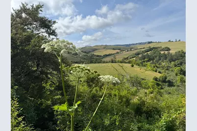 14251 Pescadero Creek Rd 4, La Honda, CA 94020 - Photo 40