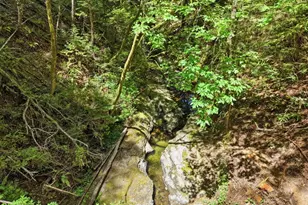 14251 Pescadero Creek Rd 4, La Honda, CA 94020 - Photo 98