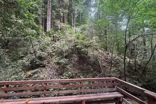 14251 Pescadero Creek Rd 4, La Honda, CA 94020 - Photo 1