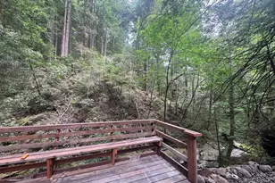 14251 Pescadero Creek Rd 4, La Honda, CA 94020 - Photo 16