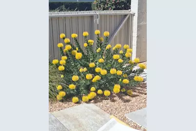 4000 Rio Rd 65, Carmel, CA 93923 - Photo 8