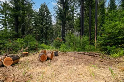 1131 Rambling Rd, Boulder Creek, CA 95006 - Photo 12