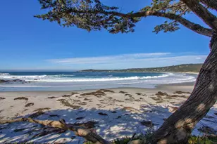 0 Torres, Carmel, CA 93921 - Photo 48