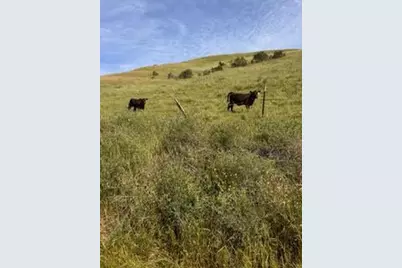 0-1 Little Merrill Rd, San Juan Bautista, CA 95045 - Photo 40