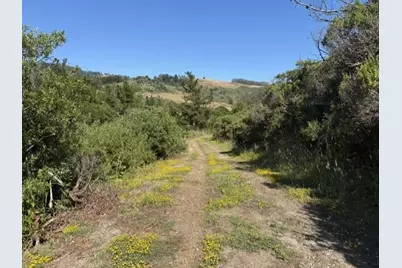 2851 Tunitas Creek Rd, Half Moon Bay, CA 94019 - Photo 4