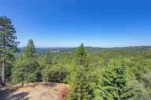 13331 Valley Vista Ct, Pine Grove, CA 95665 - Photo 48