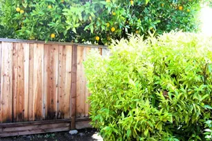 1714 Lobelia Ln, San Jose, CA 95124 - Photo 42
