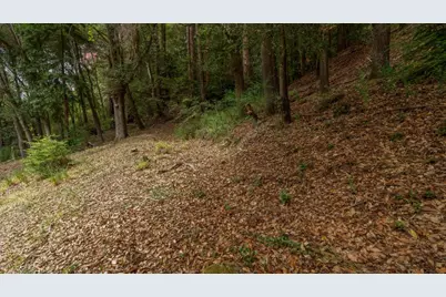 12734 Irwin Way, Boulder Creek, CA 95006 - Photo 122