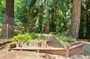 334 San Lorenzo Ave, Felton, CA 95018 - Photo 30